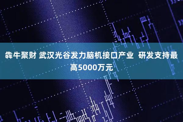 犇牛聚财 武汉光谷发力脑机接口产业  研发支持最高5000万元