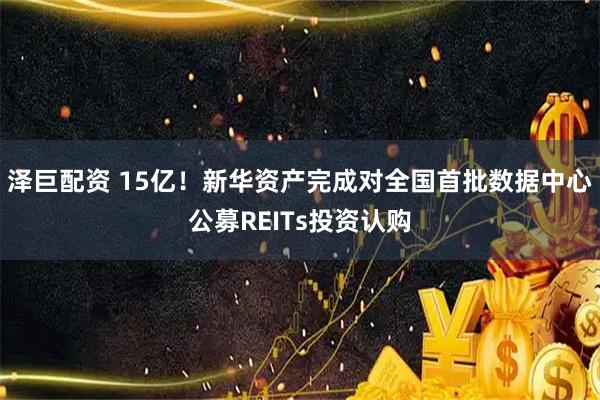 泽巨配资 15亿！新华资产完成对全国首批数据中心公募REITs投资认购
